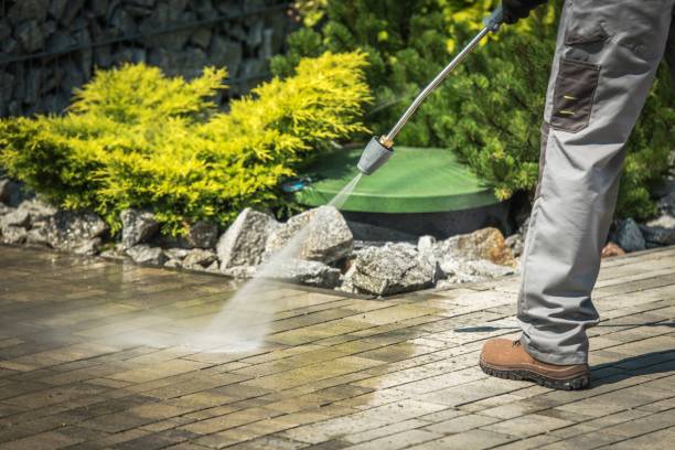 Best Sidewalk and Walkway Cleaning  in Kenilworth, PA